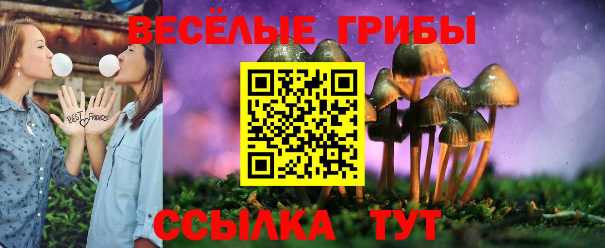 Звенигород  Псилоцибиновые грибы GOLDEN TEACHER  Вход с VPN 